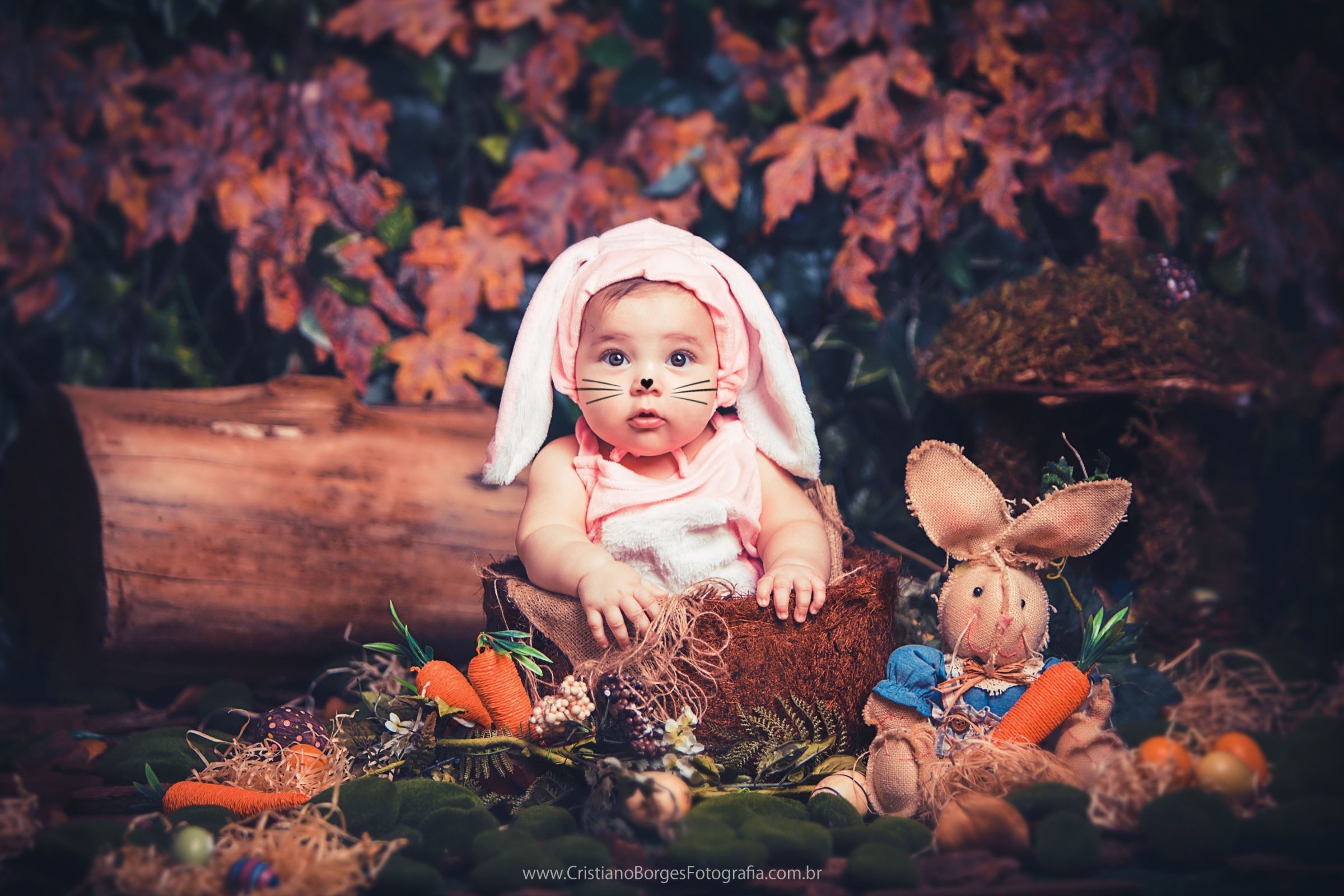 Foto de Cristiano Borges Fotografia 6